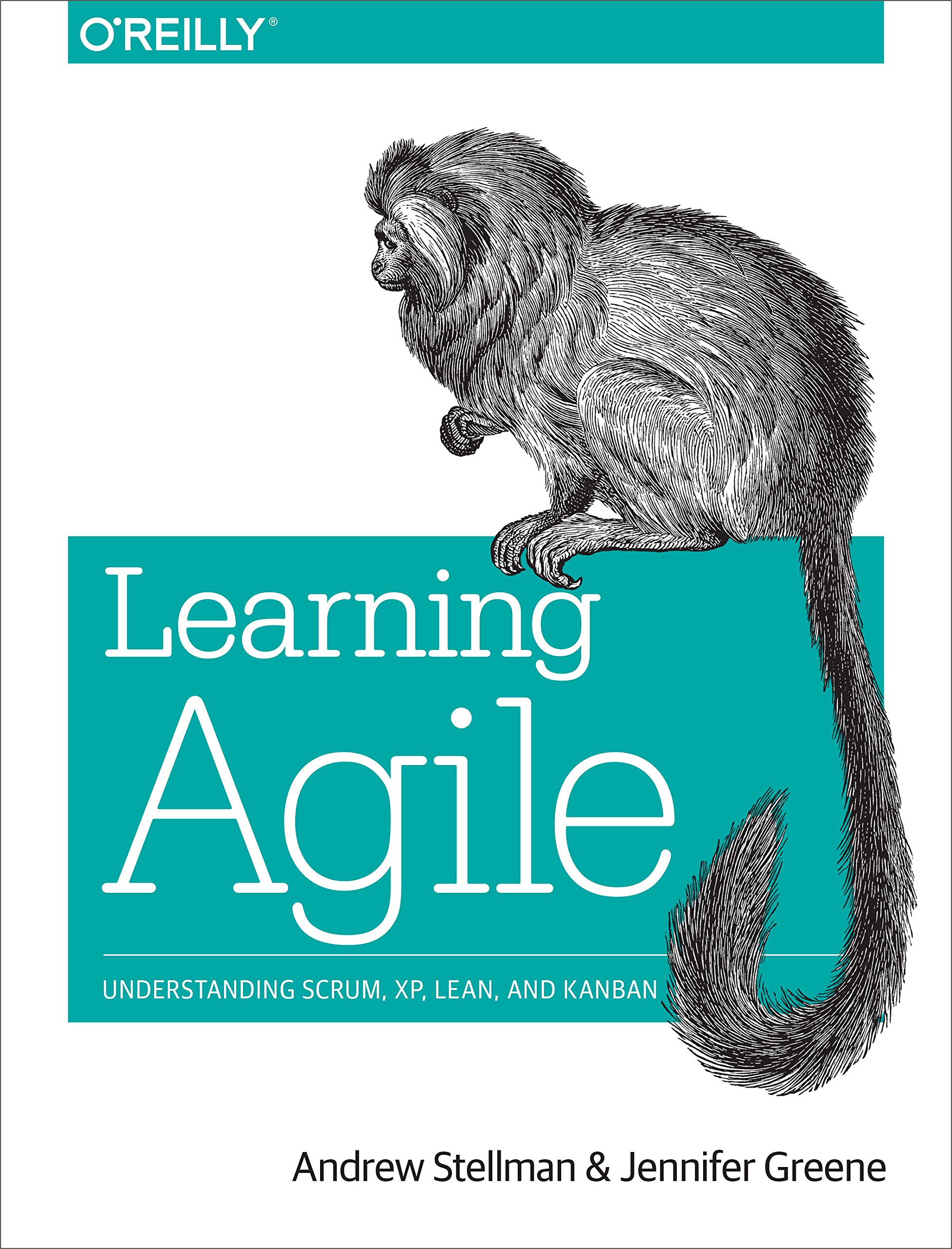 Learning Agile book